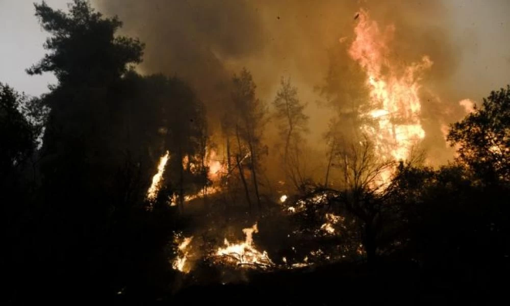 Κομισιόν: Τείνει χείρα βοηθείας για την καταπολέμηση των πρωτοφανών δασικών πυρκαγιών